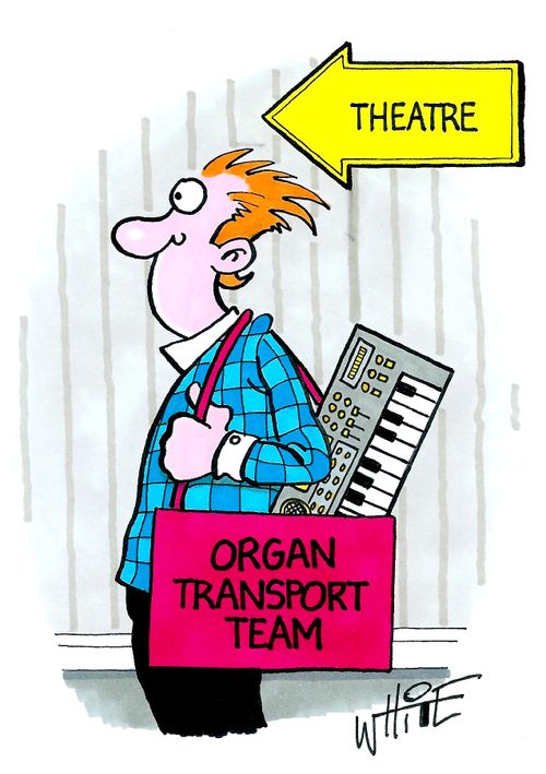 Organ transport team