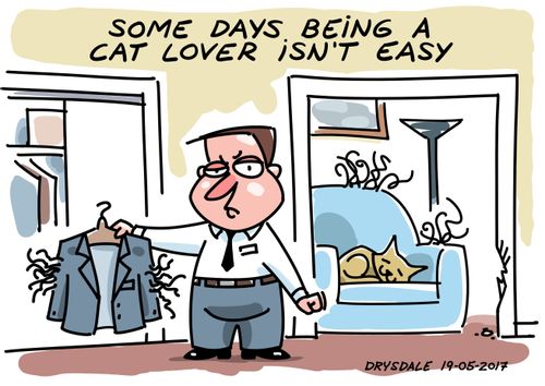 Some days being a cat lover isn't easy