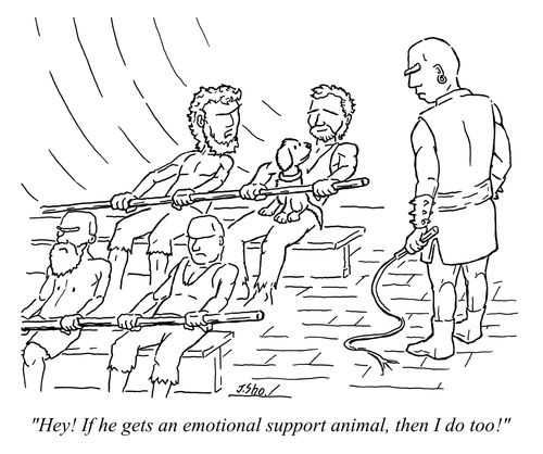 "Hey! If he gets an emotional support animal, then I do too!"