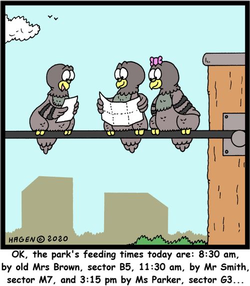 "OK, the park's feeding times today are: 8:30 am by old Mrs Brown, sector B5, 11:30 am, by Mr Smith, sector M7, and 3:15 pm by Ms Parker, sector G3..."