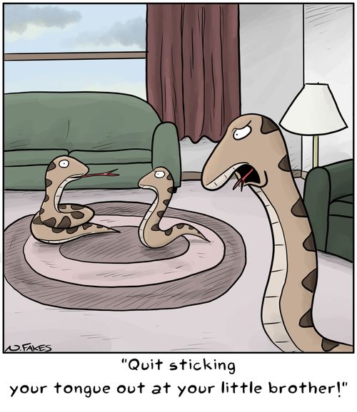 "Quit sticking your tongue out at your little brother!"
