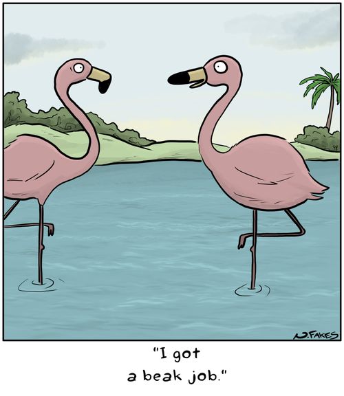 "I got a beak job."