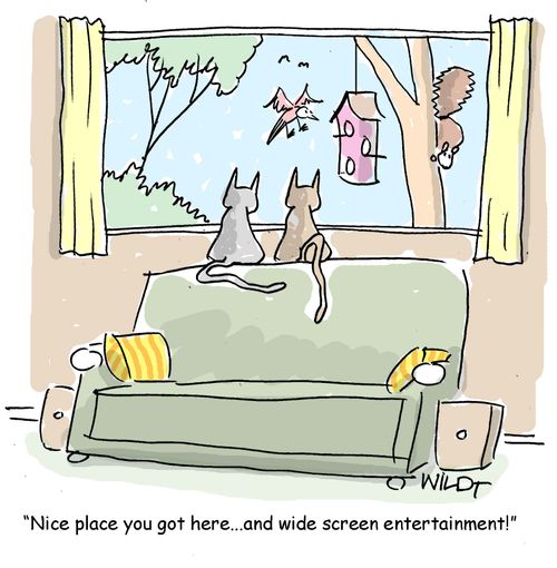 "Nice place you got here... and widescreen entertainment!"