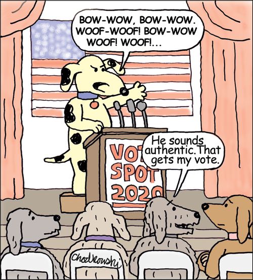 "He sounds authentic. That gets my vote."