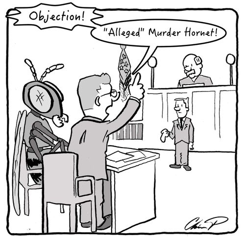 "Objection! 'Alleged' Murder Hornet!"