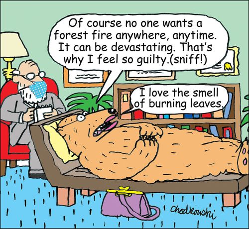 "Of course no one wants a forest fire anywhere, anytime. It can be devastating. That's why I feel so guilty."