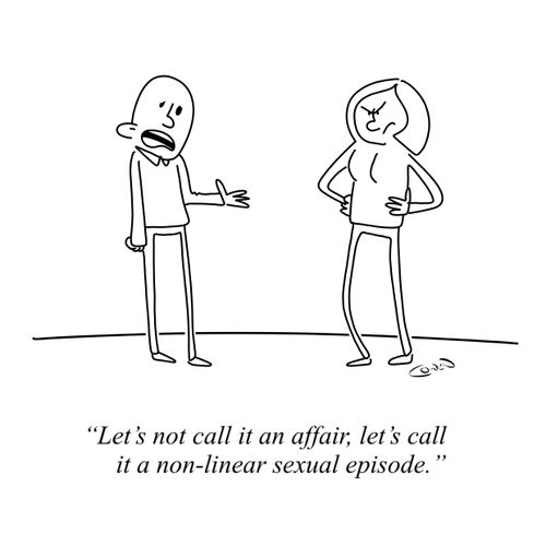 "Let's not call it an affair, let's call it a non-linear sexual episode."