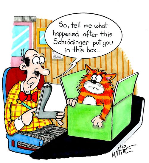 "So, tell me what happened after this Schrodinger put you in this box..."