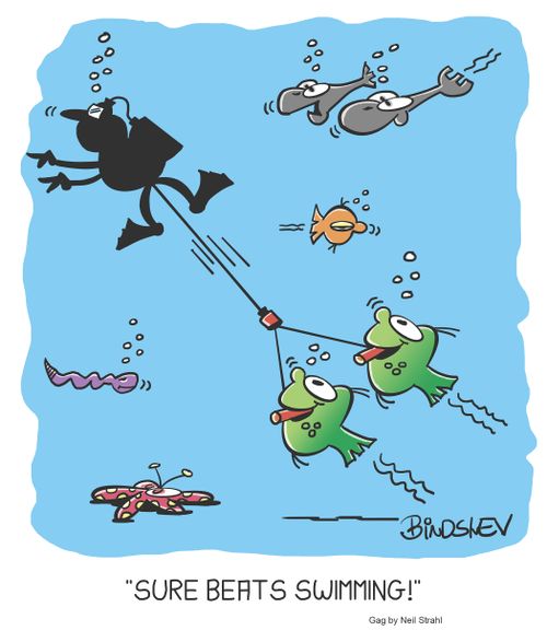 "Sure beats swimming!"