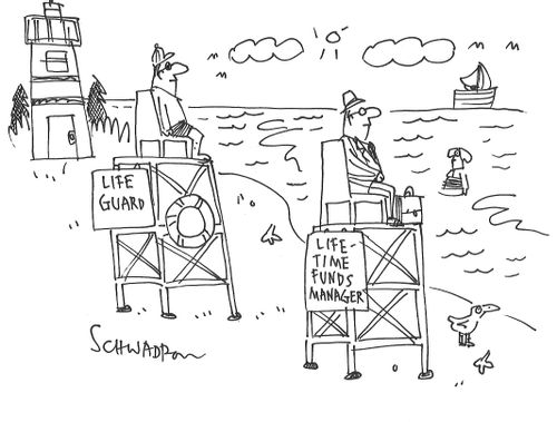 Lifeguard... Lifetime funds manager