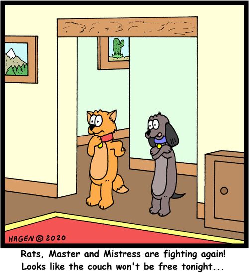 "Rats, Master and Mistress are fighting again! Looks like the couch won't be free tonight..."
