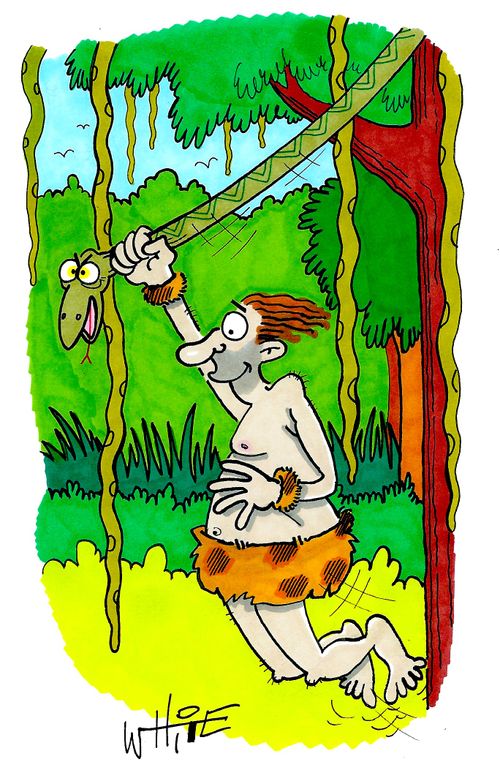Jungle snake...