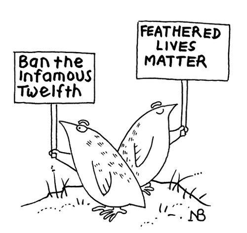 The infamous Twelfth: Feathered lives matter