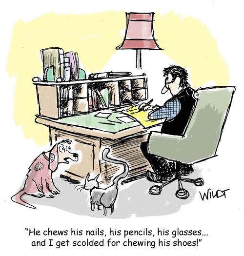 "He chews his nails, his pencils, his glasses... and I get scolded for chewing his shoes!"