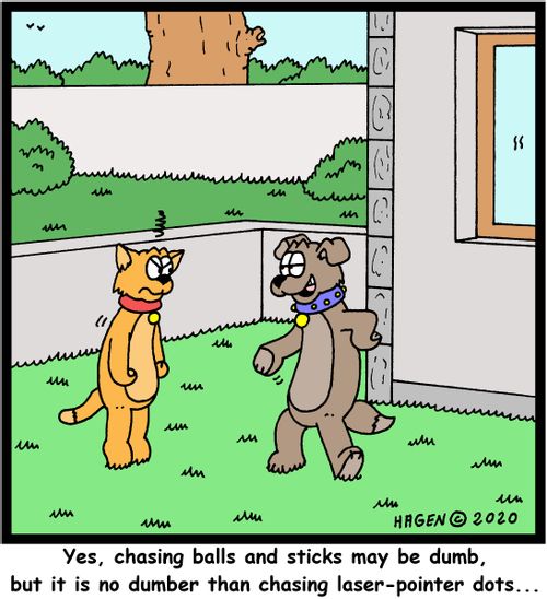 "Yes, chasing balls and sticks may be dumb, but it is no dumber than chasing laser-pointer dots..."