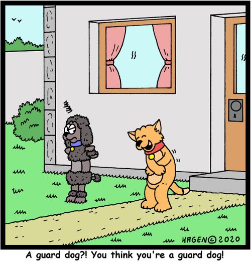 "A guard dog?! You think you're a guard dog!