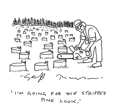 "I'm going for the stripped pine look."