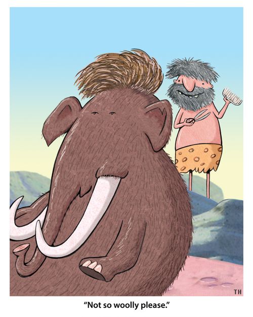 "Not so woolly please."