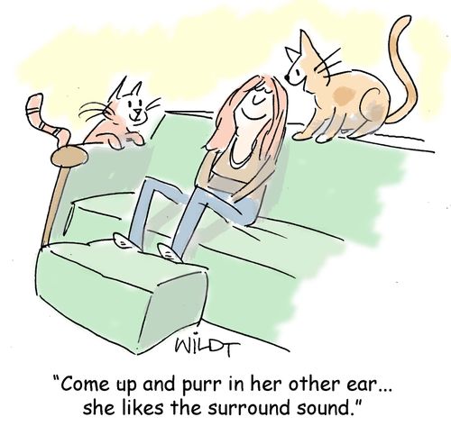 "Come up and purr in her other ear... she likes the surround sound."