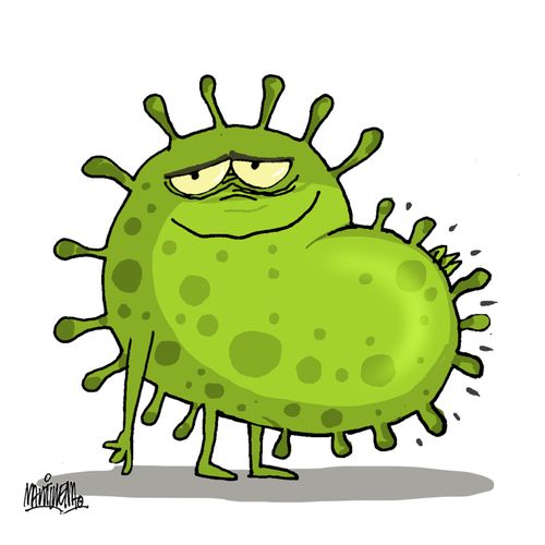 Coronavirus Reinfection