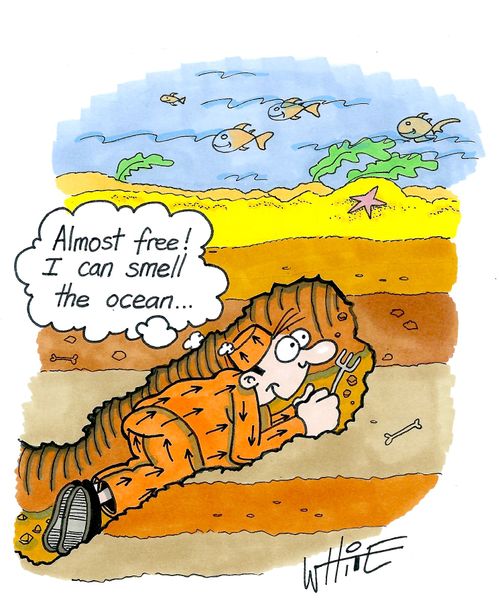 "Almost free! I can smell the ocean...