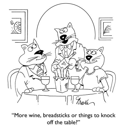 "More wine, breadsticks or things to knock off the table?"