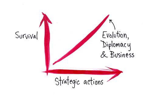 Graph showing Survival and strategic actions,