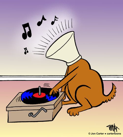 A dog with a pet cone plays the sounds of a record player.