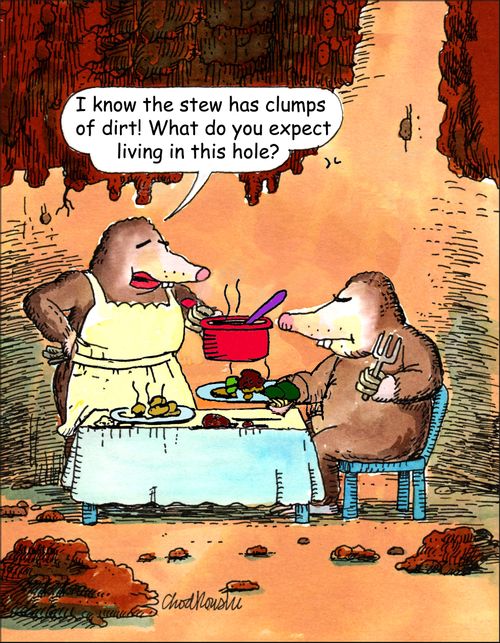 "I know the stew has clumps of dirt!" What do you expect living in this hole?"