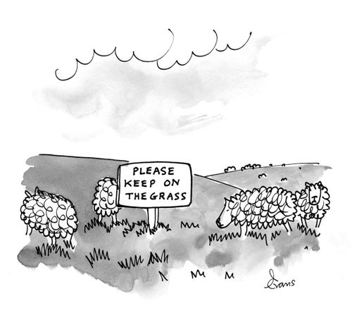 Please keep on the grass.