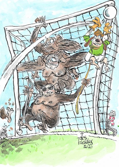 Goalkeeping Dog