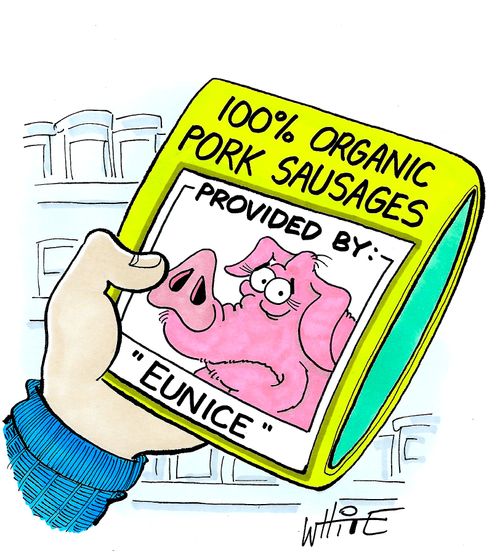 100% organic pork sausages