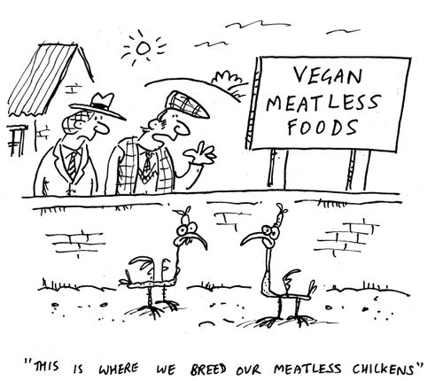 "This is where we breed our meatless chickens."