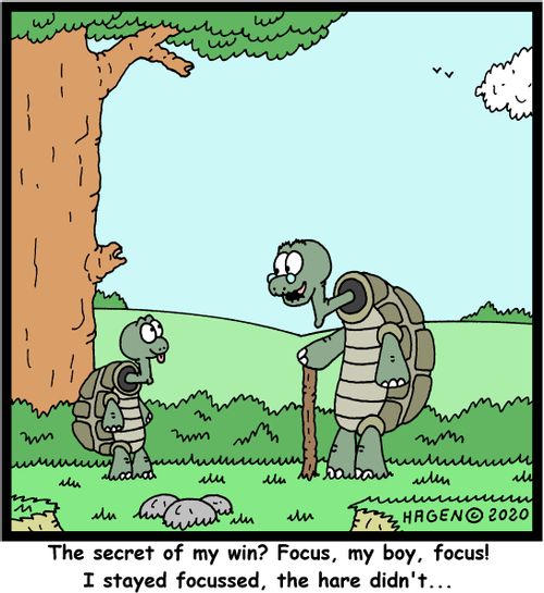 "The secret of my win? Focus, my boy, focus! I stayed focussed, the hare didn't..."