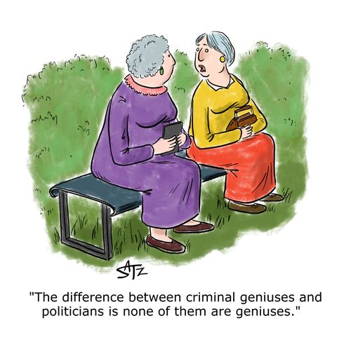 "The difference between criminal geniuses and politicians is none of them are geniuses."