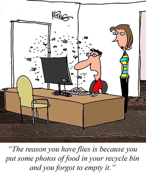 "The reason you have flies is because you put some photos of food in your recycle bin and you forgot to empty it."