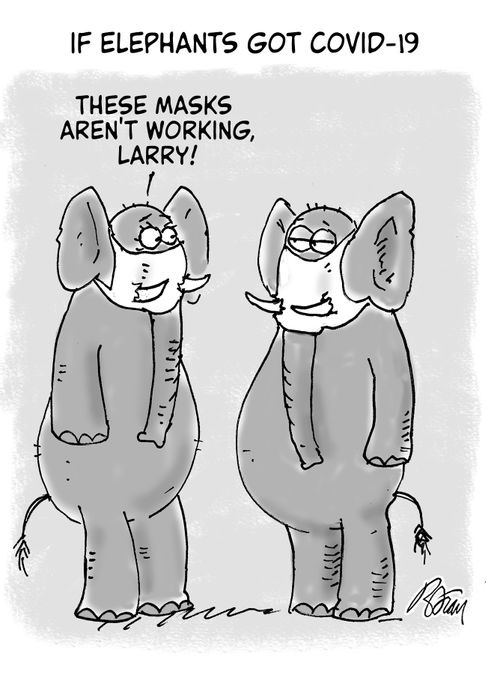 If elephants got Covid-19: "These masks aren't working, Larry!"