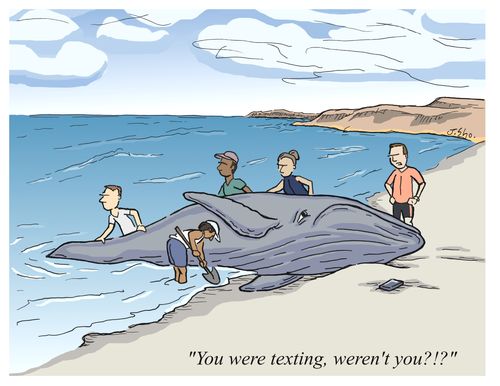 You were texting, weren't you?