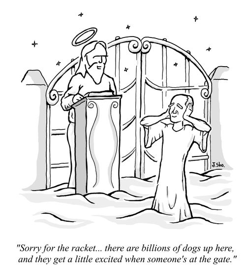 "Sorry for the racket... there are billions of dogs up here, and they get a little excited when someone's at the gate."