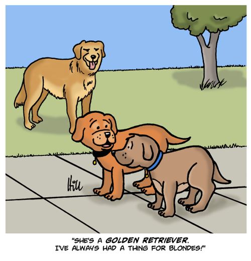 "She's a Golden Retriever. I've Always Had A Thing For Blondes!"