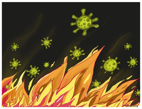 California fires and Coronavirus