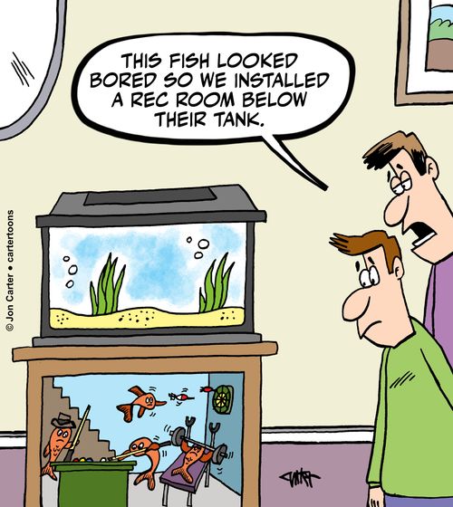'This fish looked bored so we installed a rec room below their tank.'