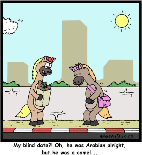 "My blind date?! Oh, he was Arabian alright, but he was a camel..."