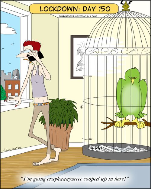 Lockdown: Day 150  "I'm going CRAZY cooped up in here!"