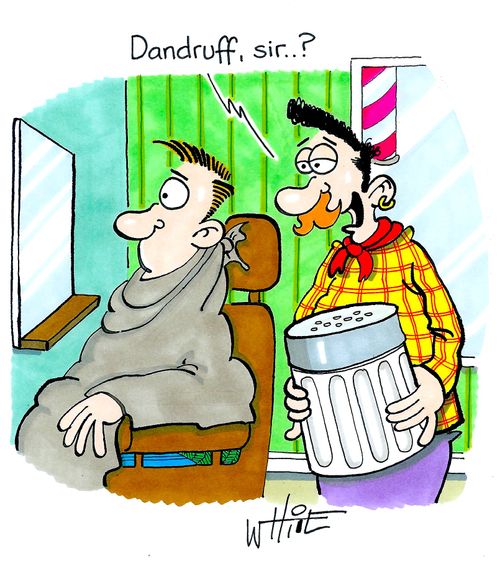Dandruff, sir..?