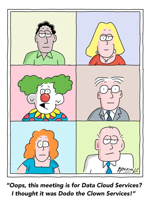 "Oops, this meeting is for Data Cloud Services? I thought it was Dodo the Clown Services!"
