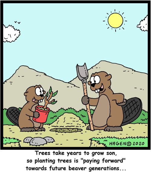 "Trees take years to grow son, so planting trees is "paying forward" towards future beaver generations..."