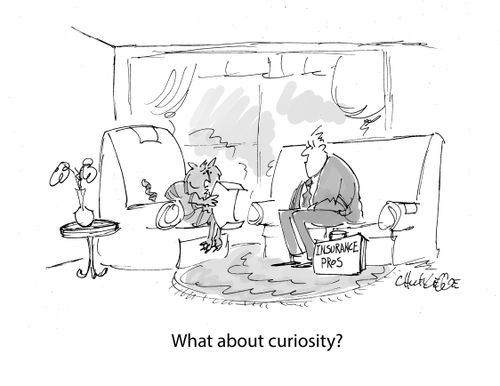 What about curiosity?