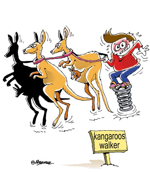 Kangaroos walker