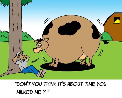 "Don't you think it's about time you milked me?"